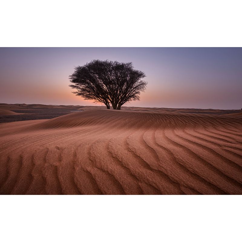 Environment Friendly Resistant Mural Wallpaper Desert Sleeping Room Wall Mural