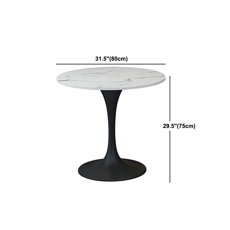 Modern Sintered Stone Dining Table Set 1/2/4/5 Pieces Dining Set