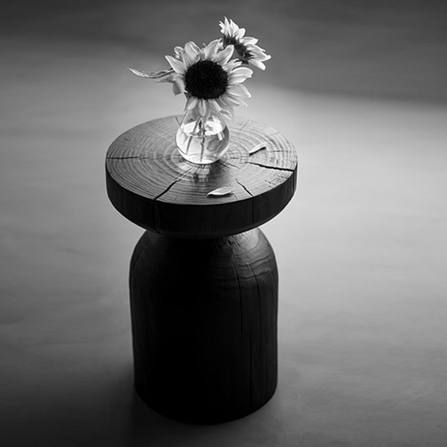 Contemporary Style Side End Table Wooden Pedestal Sofa Side Accent Table in Black