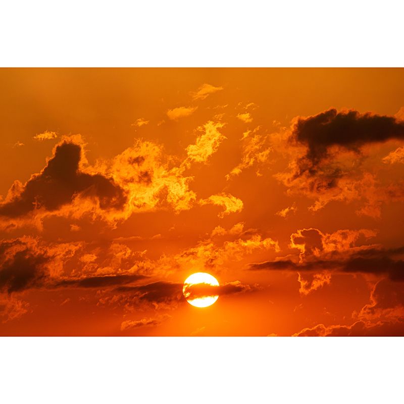 Mildew Resistant Mural Wallpaper Sky Landscapes Pattern for Wall Decor