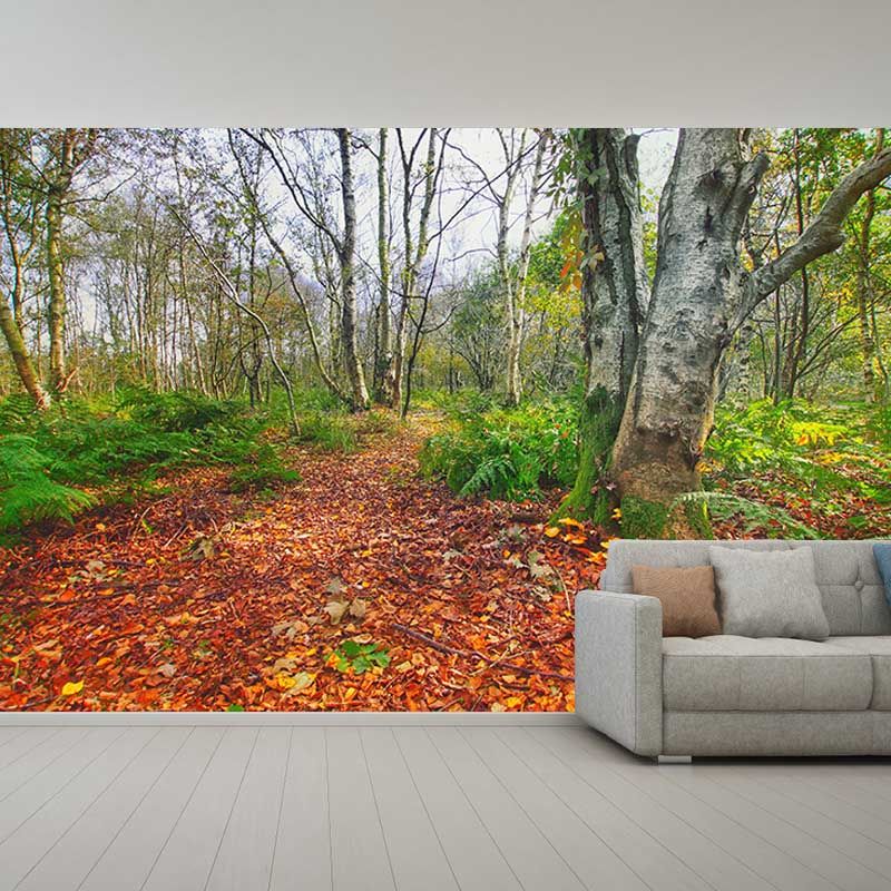 Fall Forest Mural Modern Murals Wallpaper for Living Room Moisture Resistant, Custom Size Available