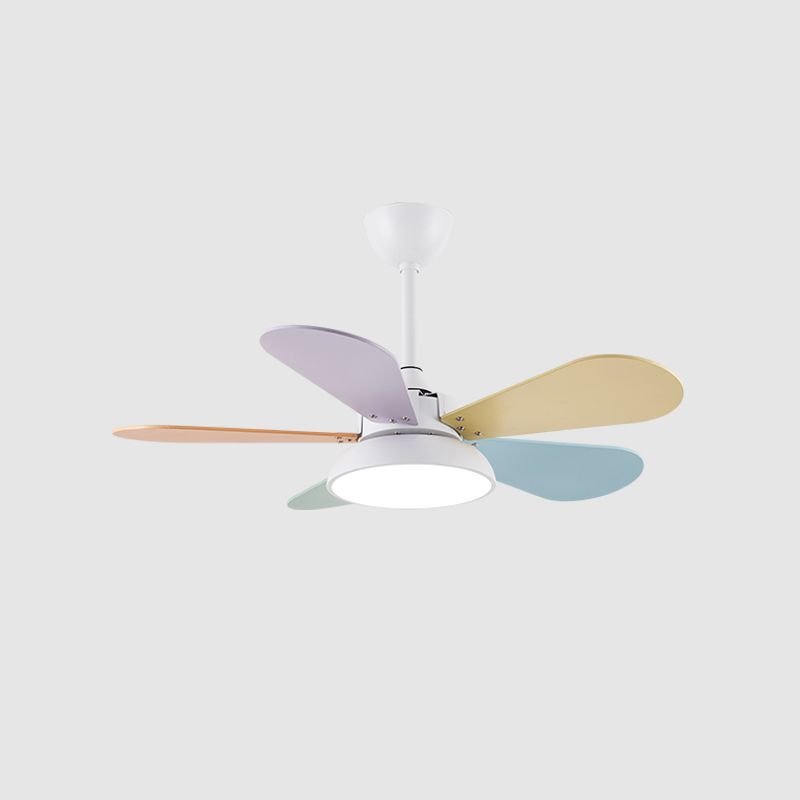 Macaron Style Hanging Fan Light LED Semi Flush Mount Ceiling Lamp