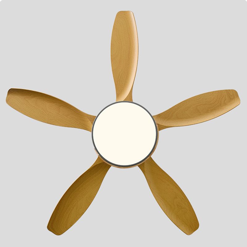 1 - Light Ceiling Fan Light Minimalist Metal and Acrylic Fan Light Ceiling