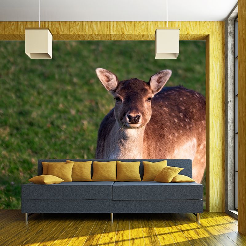 Modern Deer Animal Wall Mural for Living Room Bedroom, Removable, Customized Size