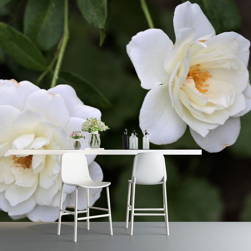 Rose Flower Mural Wallpaper Full Size Minimalist Wall Mural for Gust Room