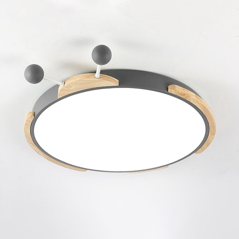 Acrylic Cartoon Insect Ceiling Lamp Modern Led Flushmount Lighting in Warm/White Light, Gray/Green