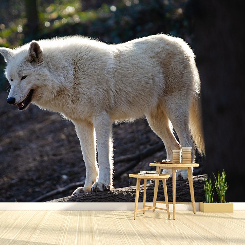 Contemporary Arctic Wolf Wall Mural Mildew Resistant Covering for Dining Room