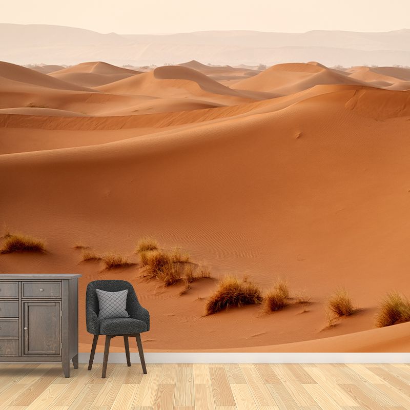 Nature Landscape of Desert Wall Mural Moisture Resistant Contemporary Wallpaper