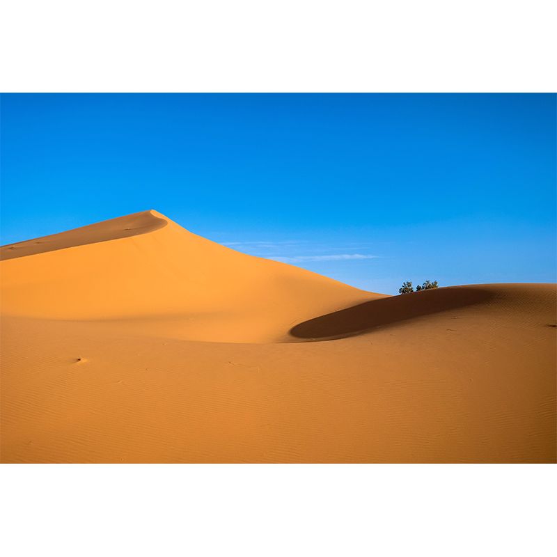 Photography Mural with Desert Pattern Moisture Resistant Modern Style Bathroom Wall Art