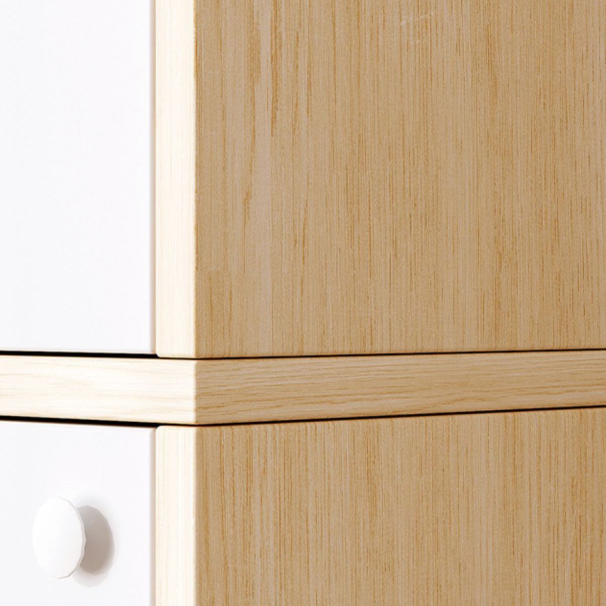 Contemporary Accent Cabinet with Doors Scratch Resistant Storage Cabinet