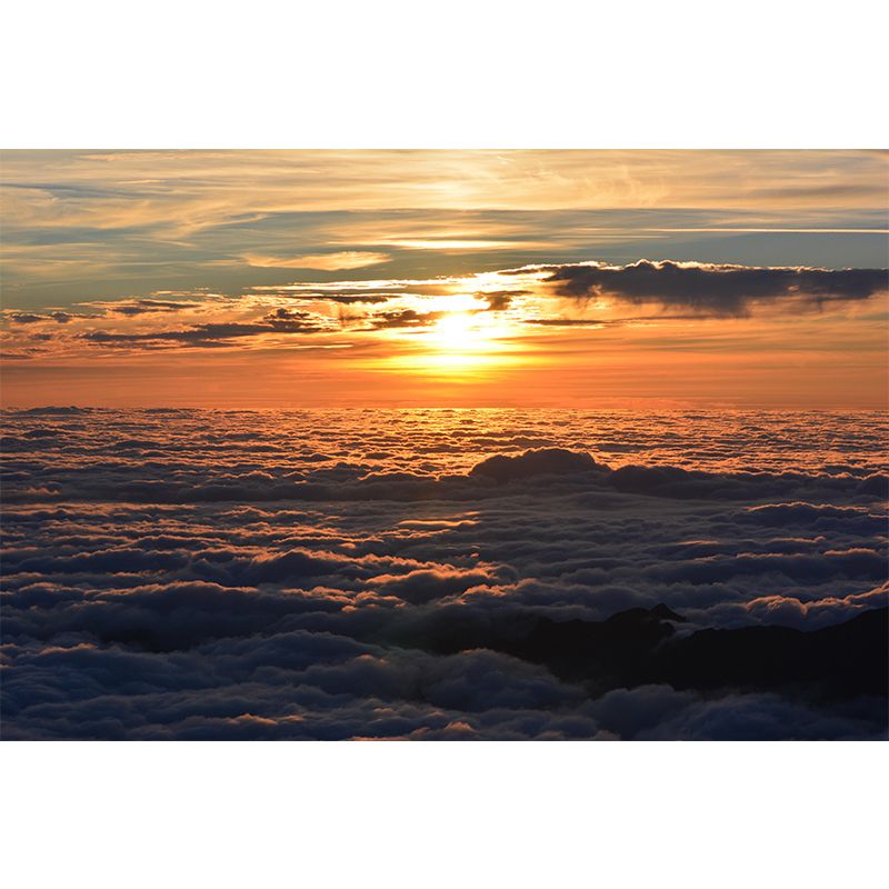 Sky Landscapes Mural Contemporary Wall Covering Soft Color Wallpaper for Dining Room