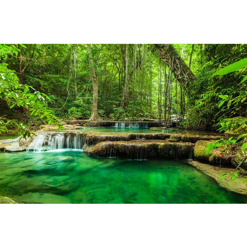 Fresh Jungle and Water Mural for Living Room Natural Scene Wall Art in Green, Made to Measure