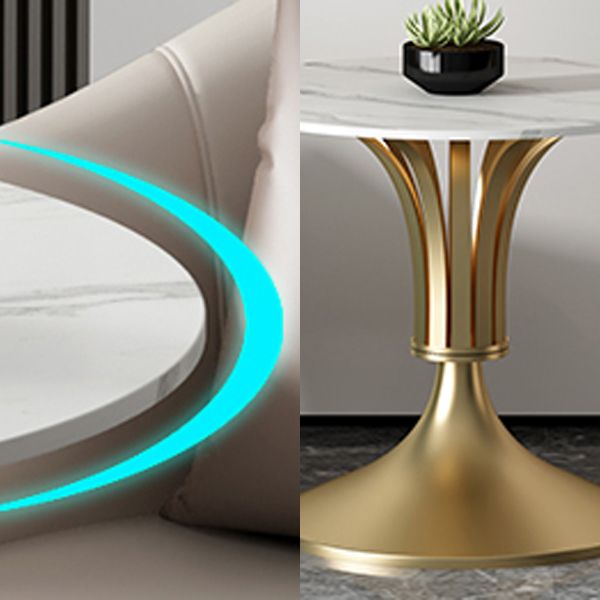 Metal Traditional Luxury Round Table Sintered Stone Indoor Table with Tulip Base