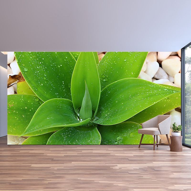 Green Plants Wall Murals Tropics Moisture Resistant Wall Covering for Living Room