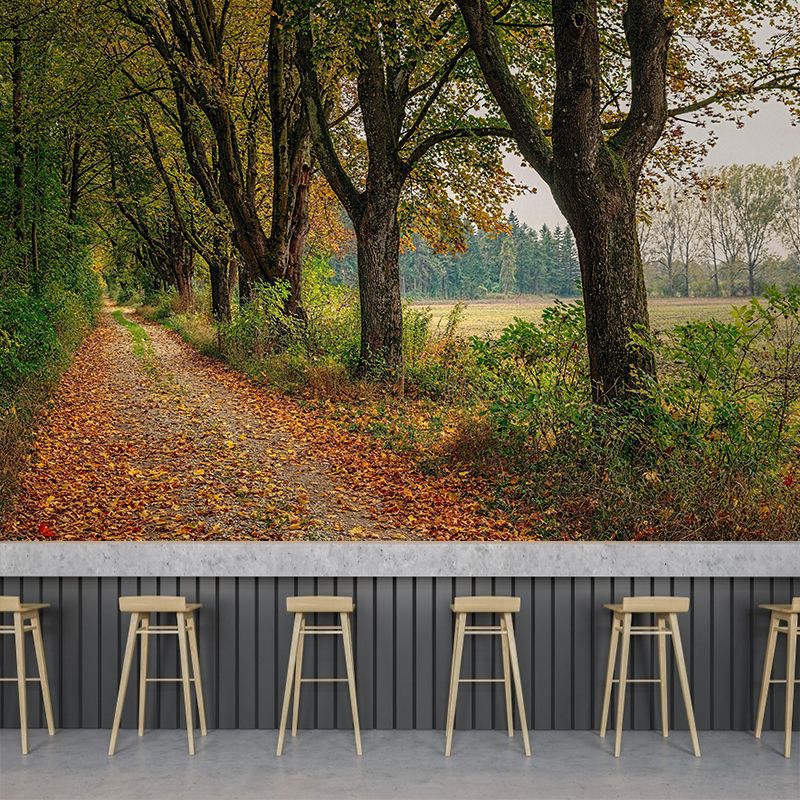 Photographic Summer Forest Mural Mildew Resistant Wall Decor for House Interior