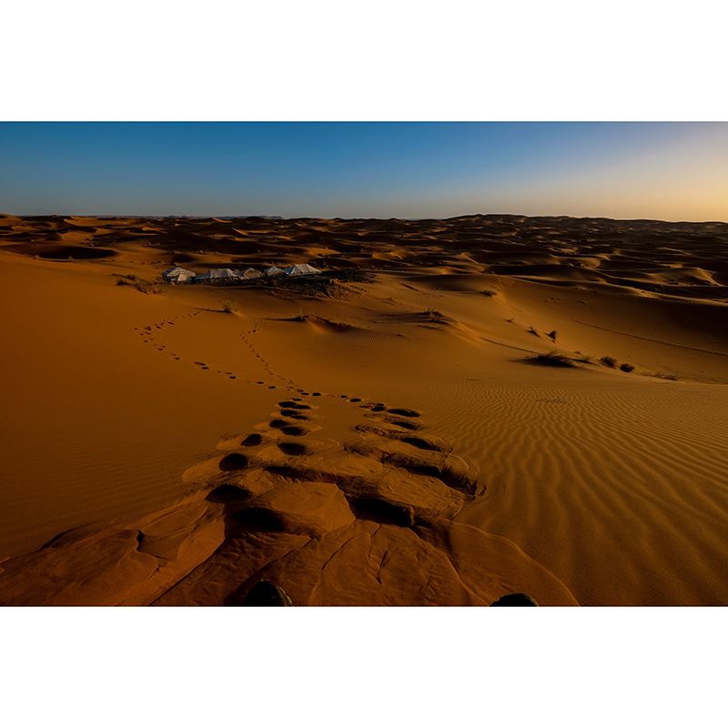 Modern Photography Mural Wallpaper Desert Landscape Indoor Wall Mural