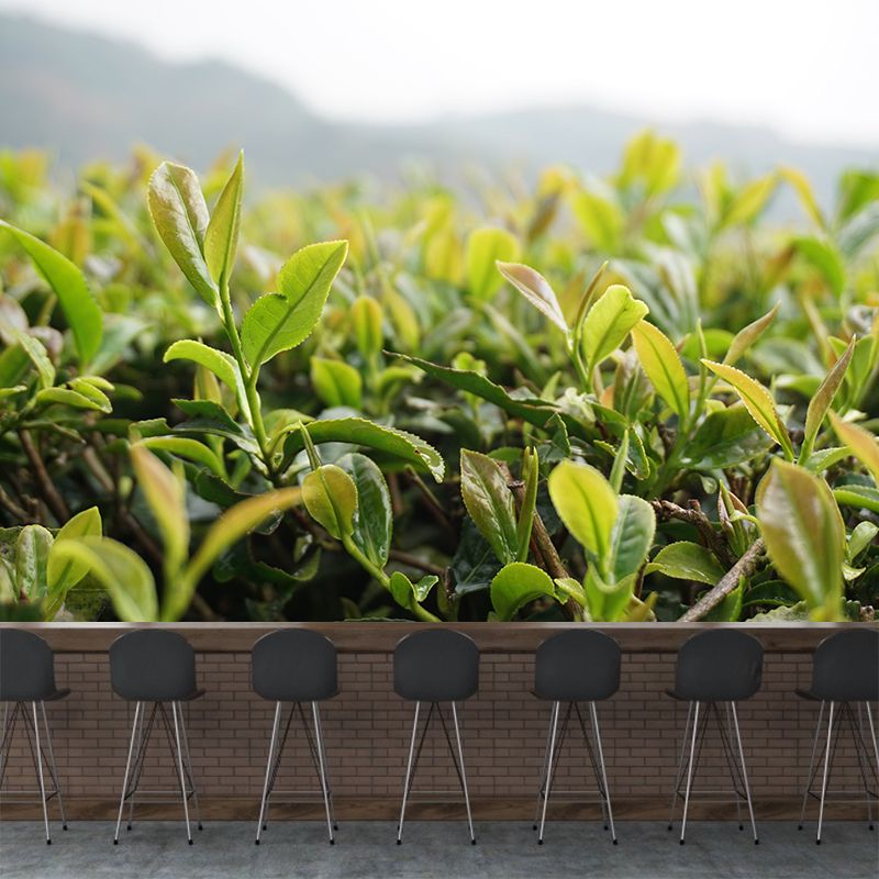 Tea Leaf Wall Mural Water Mildew Resistant Environment Friendly Wall Decor for Bedroom