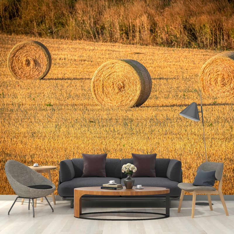 Straw Bale Landscapes Mural Wallpaper Moisture Resistant Living Room Wall Covering