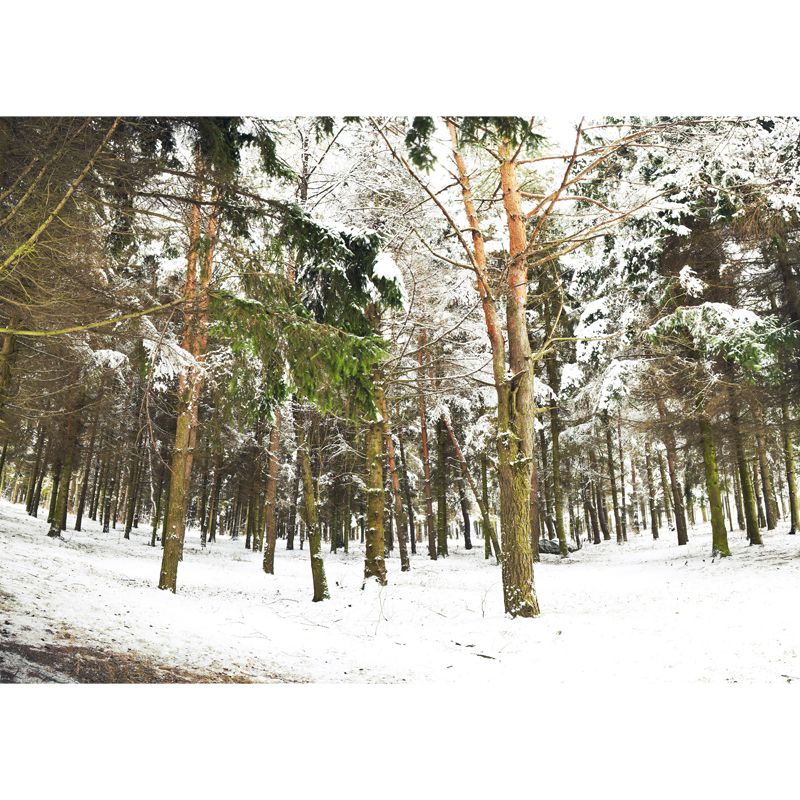 Non-Woven Washable Mural Modern Style Scenery Among the Snowy Forest Wall Decor in Green