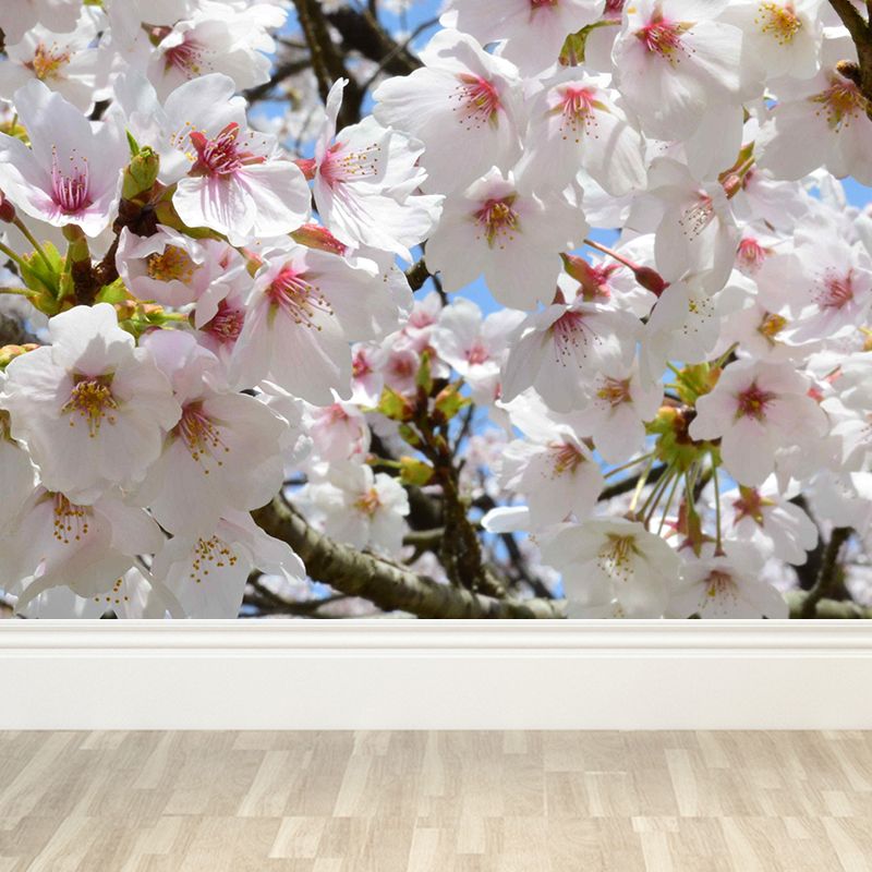 Moisture Resistant Cherry Wall Mural Non-Woven Modern Wall Decor for Dining Room