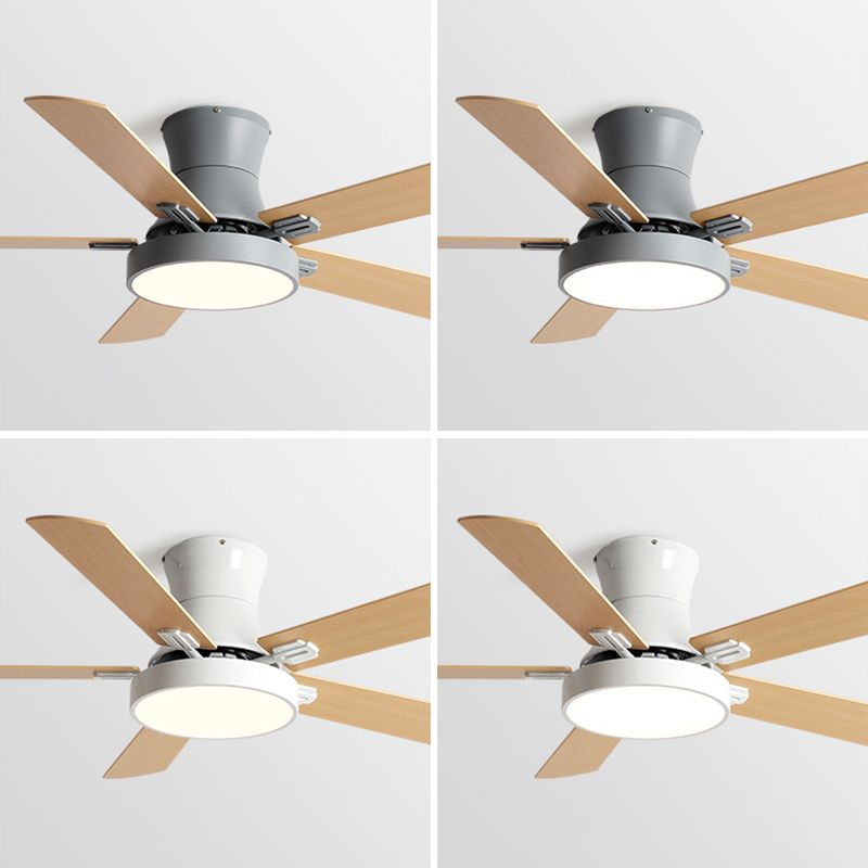 Modern Style Ceiling Fan Lamp Metal 1 Light Ceiling Fan Lighting for Living Room