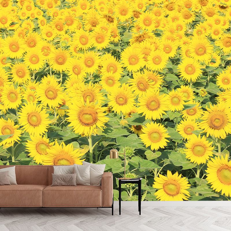 Photography Wall Mural Wallpaper Plant Sitting Room Wall Mural
