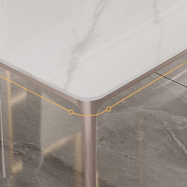 Modern Sintered Stone Top Dining Set Rectangle 1/2/4/5/6 Pieces Dining Room Table Set