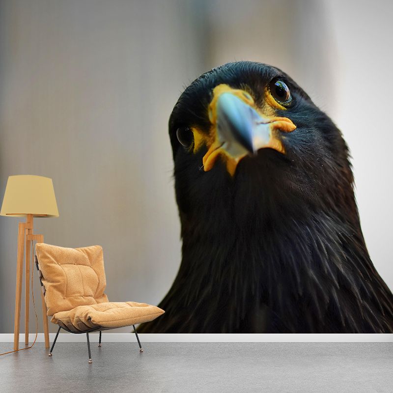 Customized Moisture Resistant Buzzard Mural Wallpaper Decal Environment Friendly Wall Decor