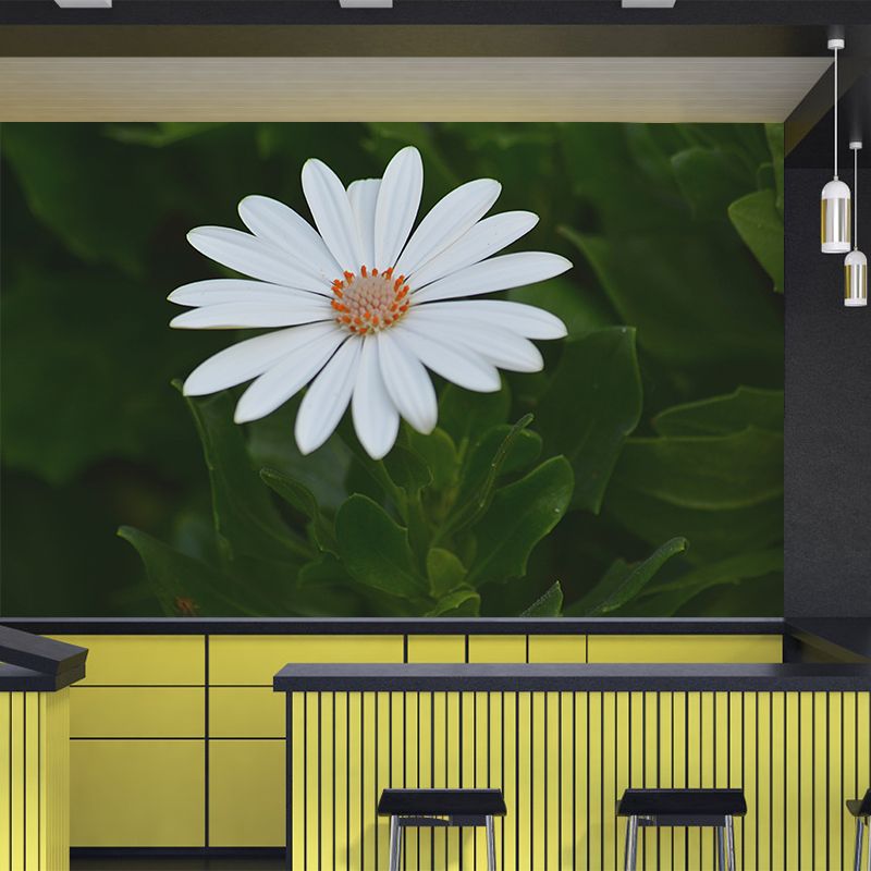 Soft Color Flower Wall Mural Decal Moisture Eco-friendly Wallpaper for Sitting Room