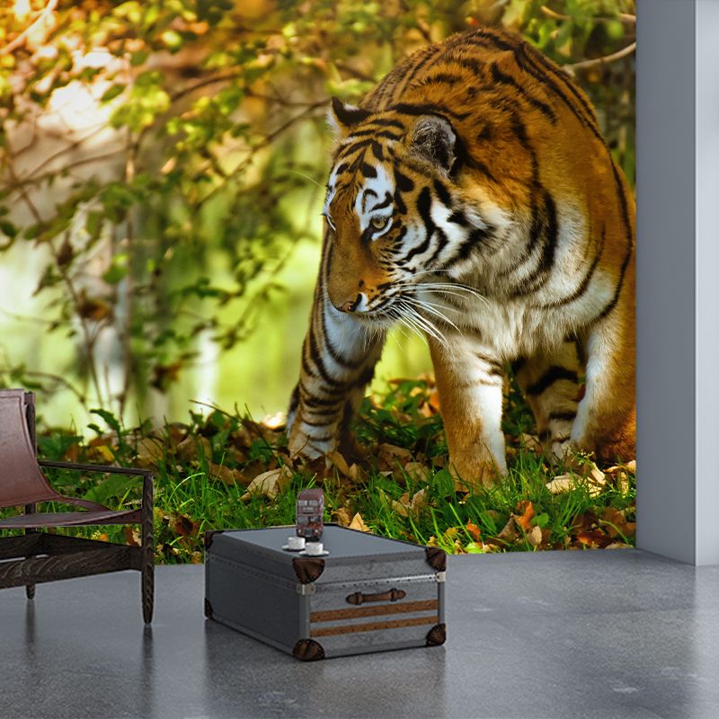 Tiger Modern Mural Decorative Sitting Room Wall Covering, Custom Size Available