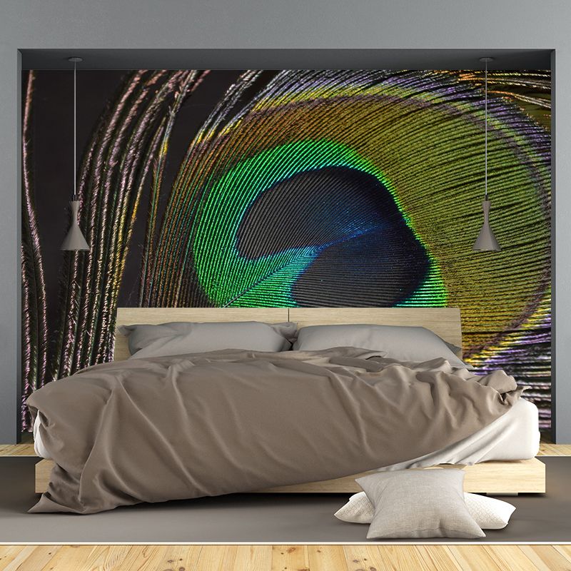 Peacock Feather Mural Modern Style Wall Covering for Sitting Room Decor
