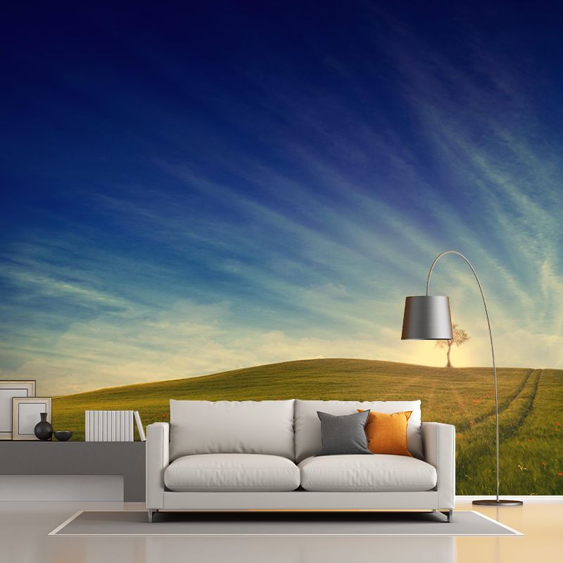 Contemporary Photography Style Sky Mural Wallpaper Mildew Resistant Wall Covering