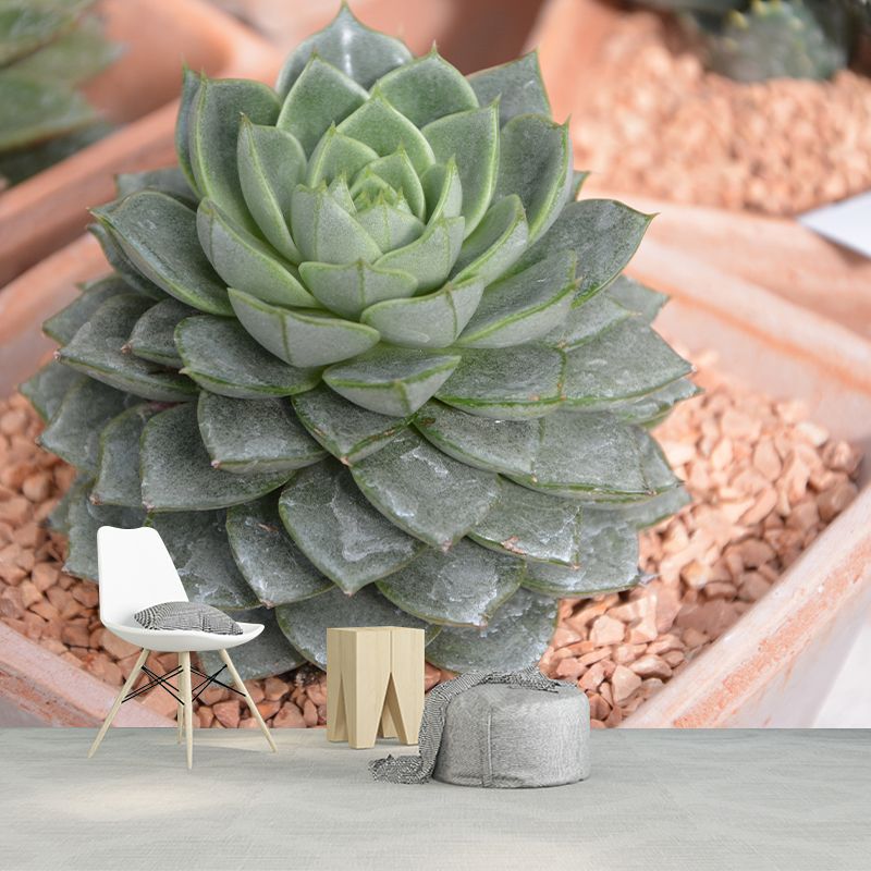 Plant Mural Decal Moisture Resistant Contemporary Bathroom Wall Covering