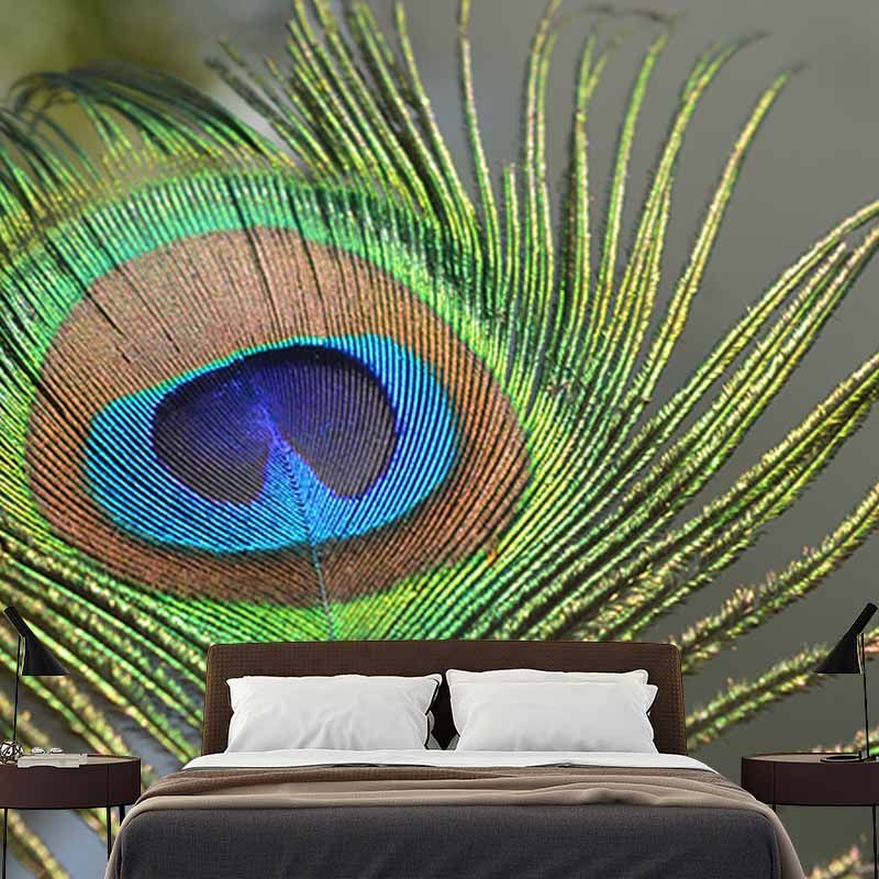 Simple Feather Photography Wall Murals Moisture Resistant, Made to Measure