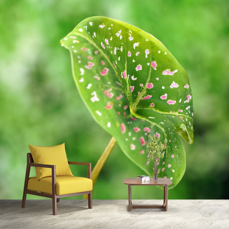 Caladium Plant Mural Wall Paper Home Decorations for Kitchen Living Room Bedroom