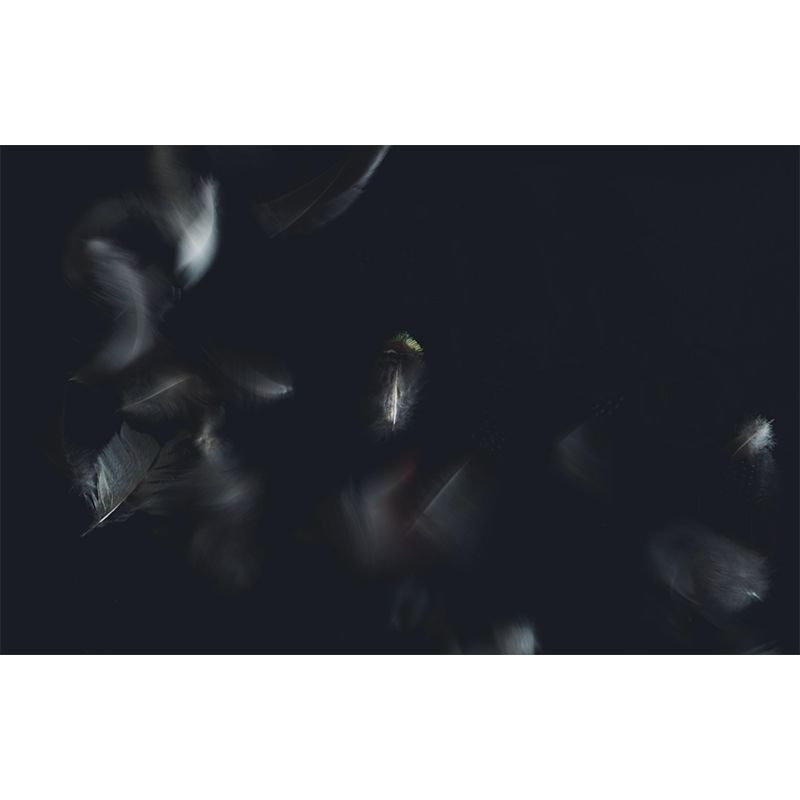 Photography Environment Friendly Mural Wallpaper Feather Decoration Bedroom Wall Mural