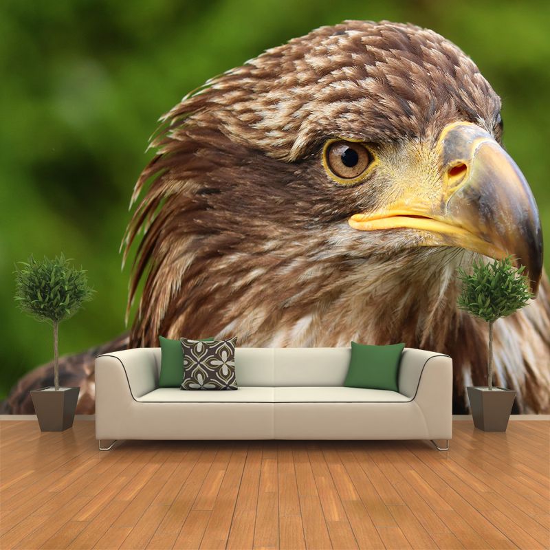 Customized Golden Eagle Mural Horizontal Photography for Sleeping Room Decoration
