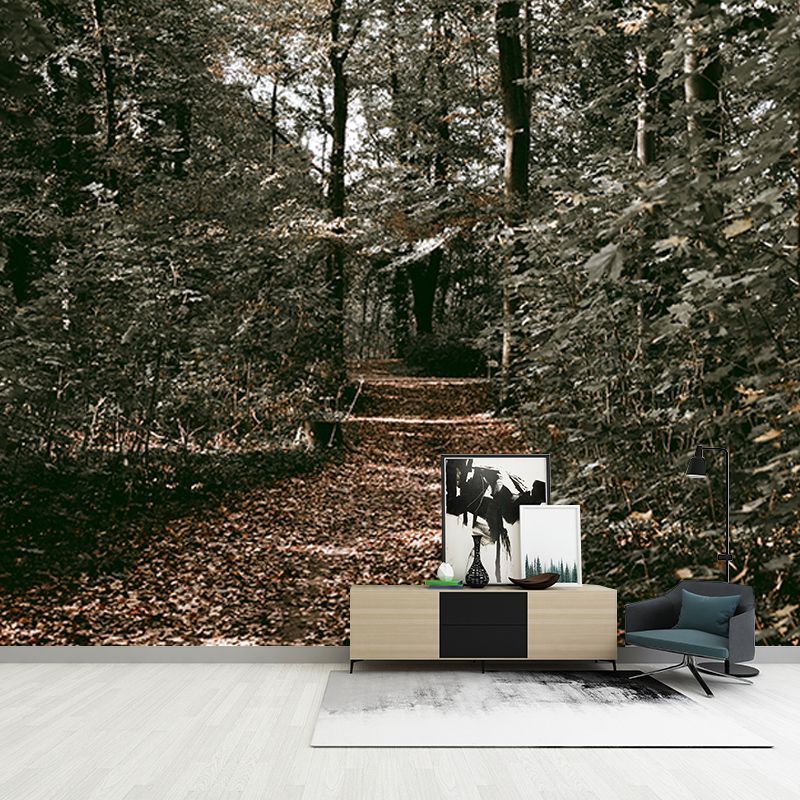 Forest Path Mildew Resistant Mural Wallpaper Sleeping Room Wall Mural