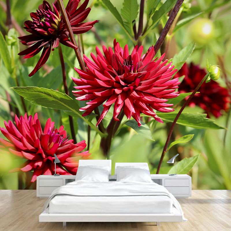Customized Dahlias Mural Wall Covering Decorative Mildew Resistant for Living Room