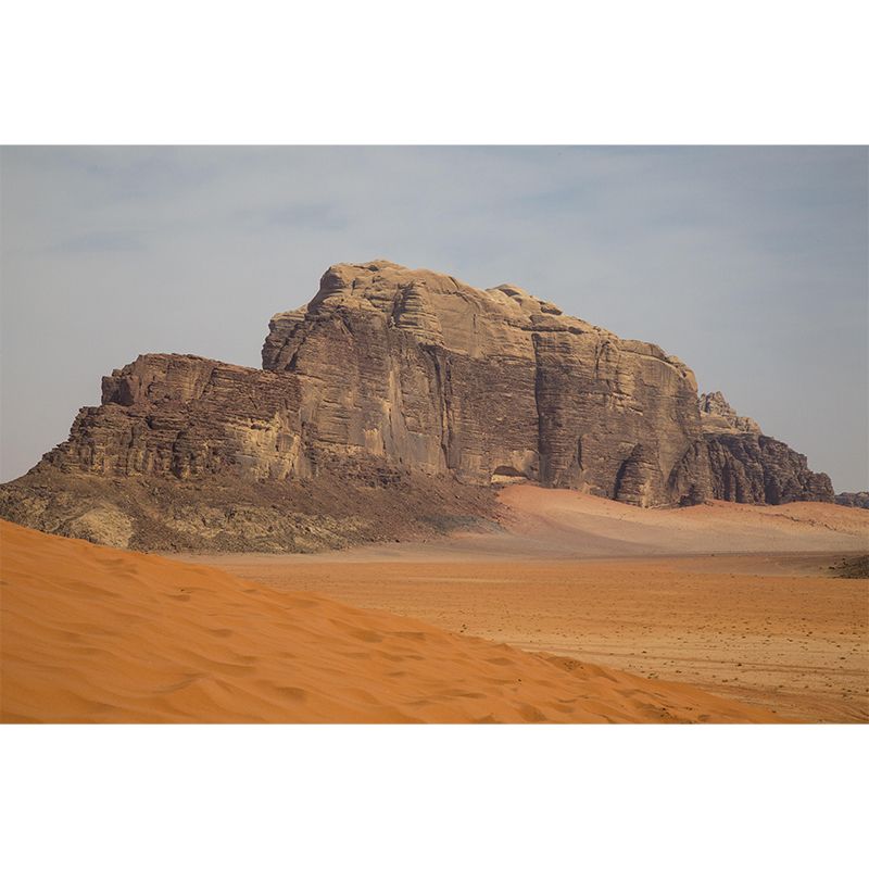 Customized Desert Mural Decorative Mildew Resistant for Bedroom Living Room