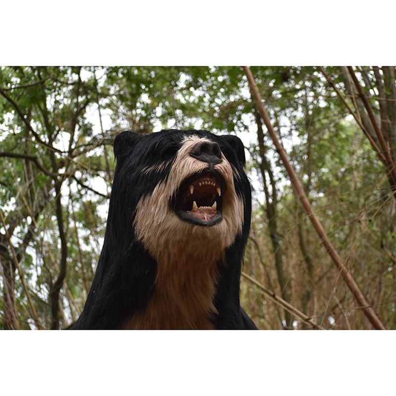 Dumb Bear Wall Covering Waterproof Mural Wallpaper for Living Room, Made to Measure