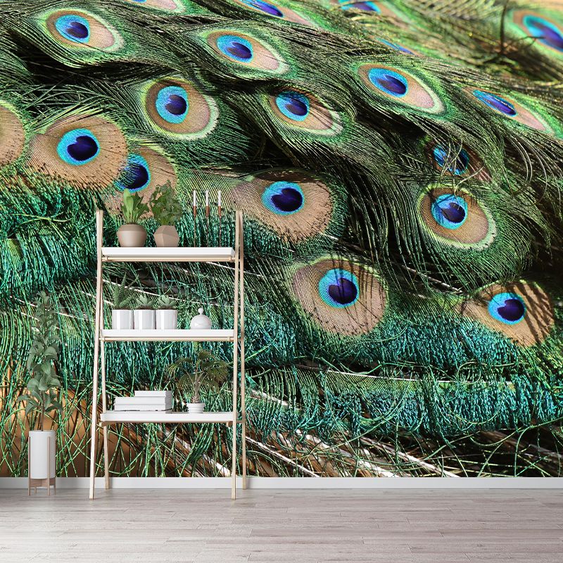 Vivid Feathers Wall Paper Murals Mildew Resistant Living Room Wall Decor