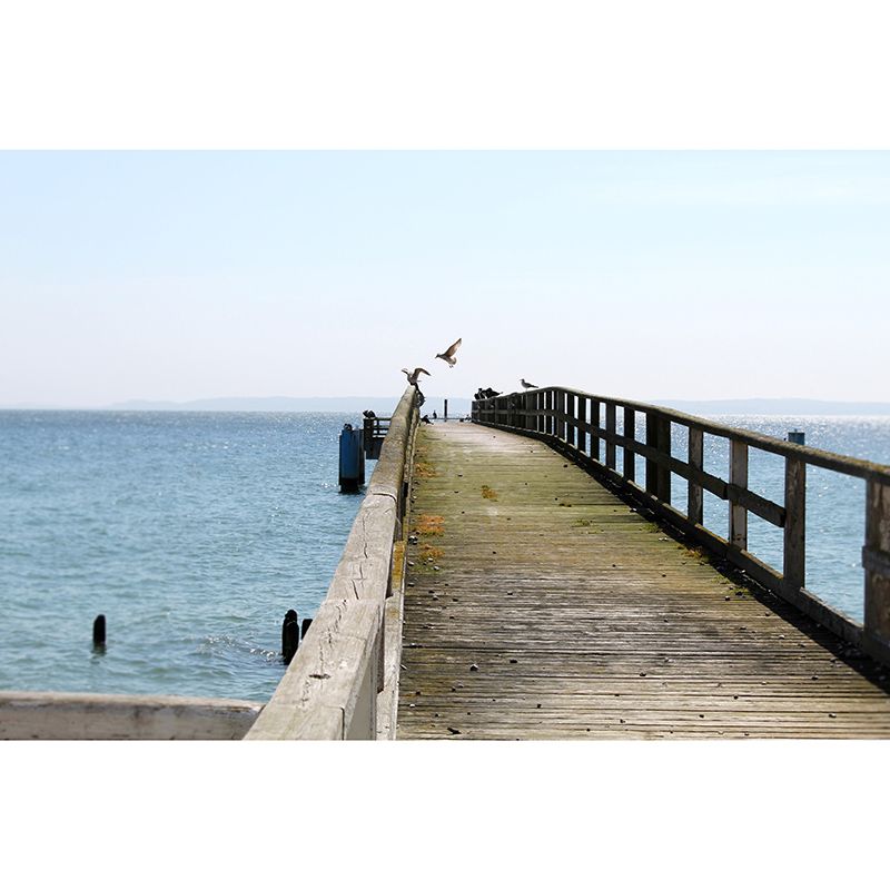 Photography Wall Mural Wallpaper Wooden Bridge Sitting Room Wall Mural