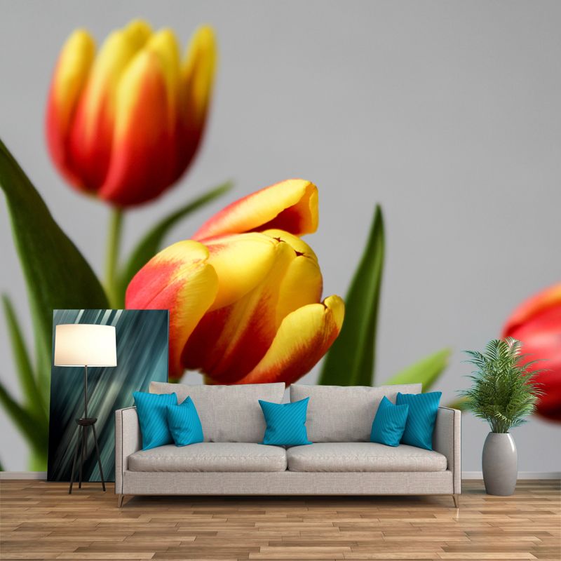Colorful Tulip Flowers Mural Wallpaper Moisture Resistant for Sitting Room