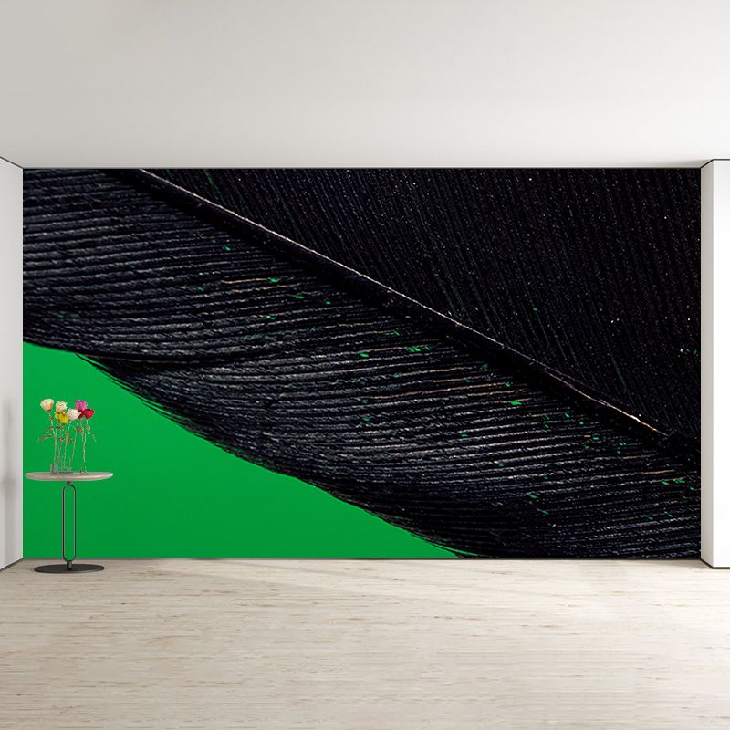 Feather Environmental Photography Wallpaper Drawing Room Wall Mural