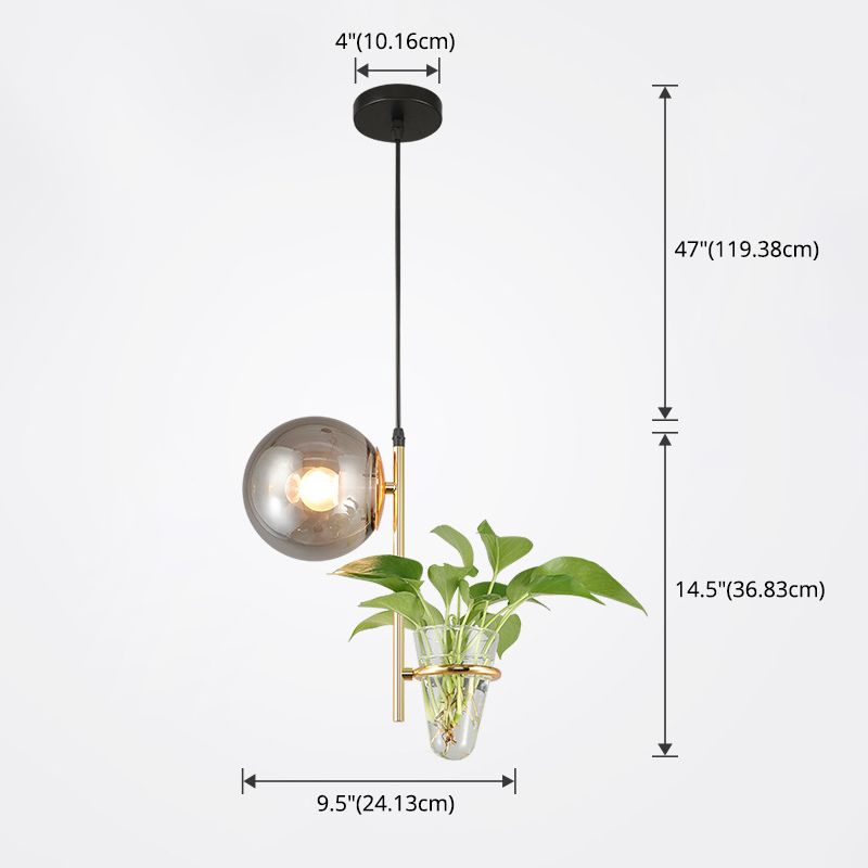 1 Light Hydroponics Botany Pendant Light moderne moderne Minimaliste en verre sphérique Salle de restauration