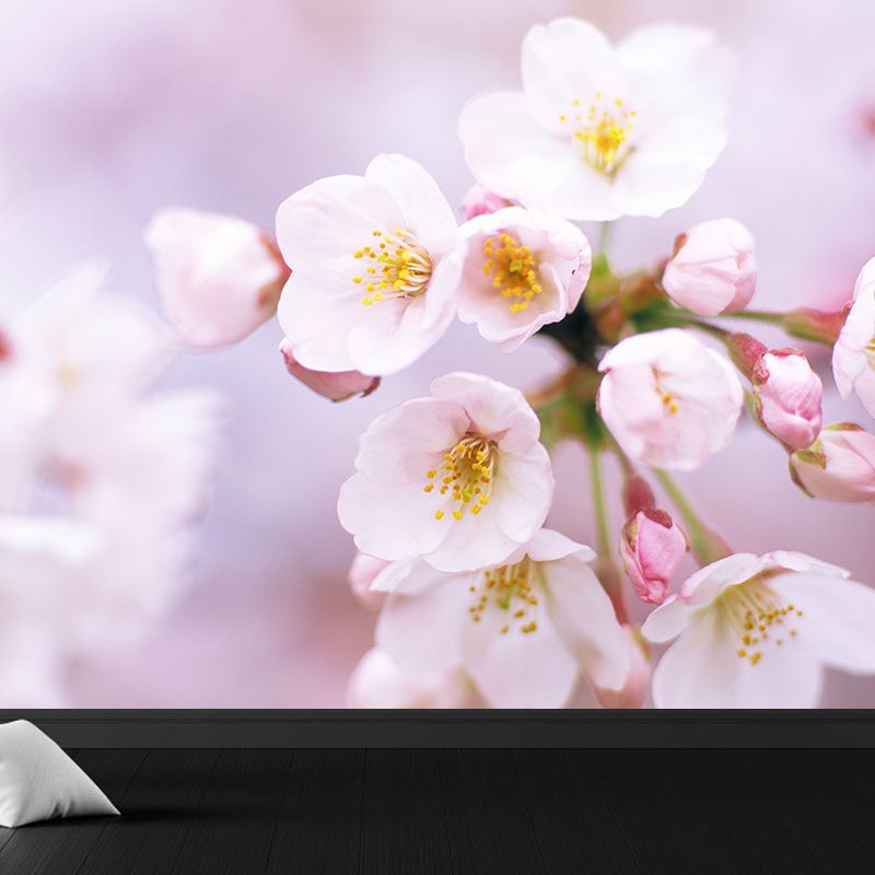 Huge Cherry Wall Mural for Bedroom Floral Print Wall Art in White for Home Decor