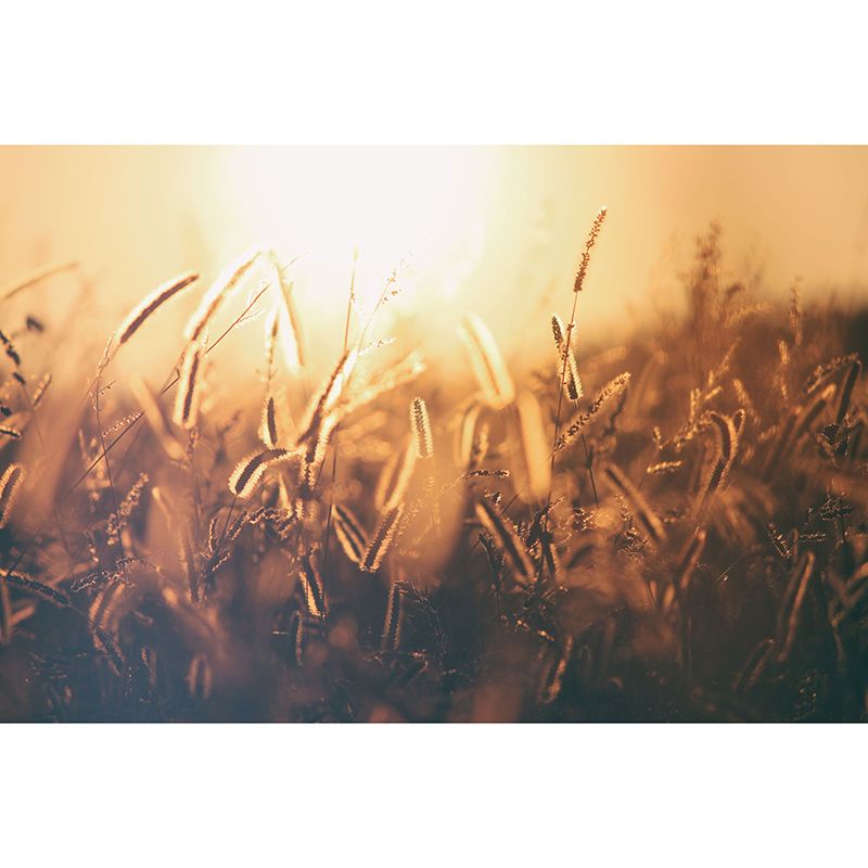 Modern Style Mural Wallpaper Wheat Field Environment Friendly Bedroom Wall Mural