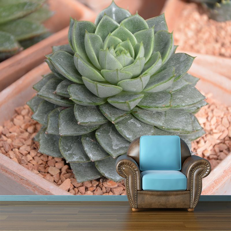 Plant Mural Decal Moisture Resistant Contemporary Bathroom Wall Covering