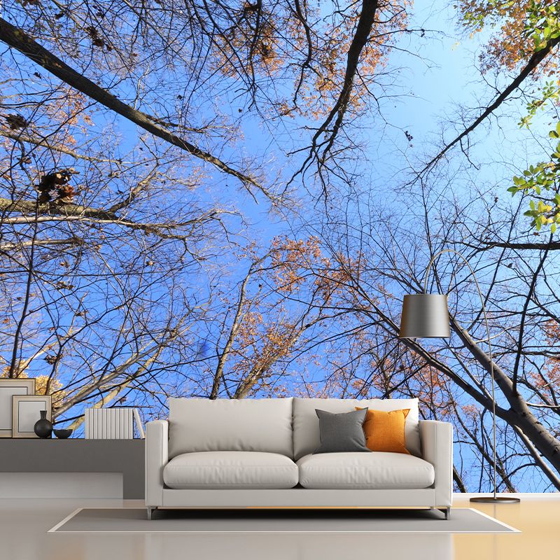 Modern Style Forest Wall Mural Wallpaper Photography Mildew Resistant for Home Decor